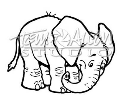 T-F-AN-ELEPHANT01tn